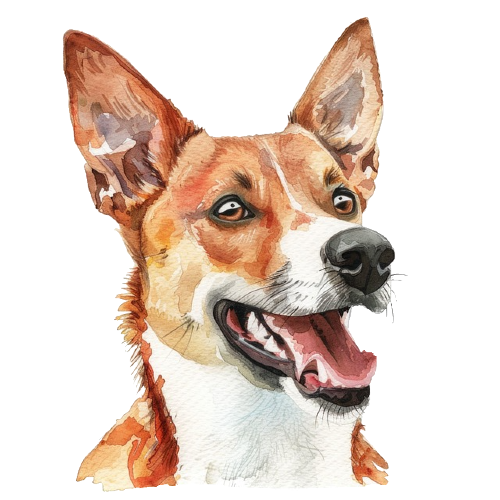 basenji-dog1